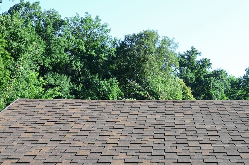 modern roof in the summer