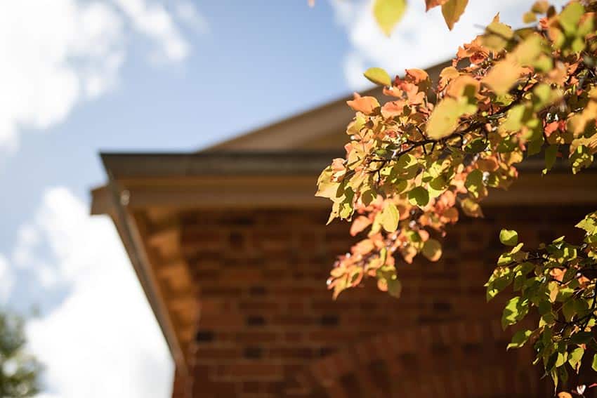 Autumn trees next to roof