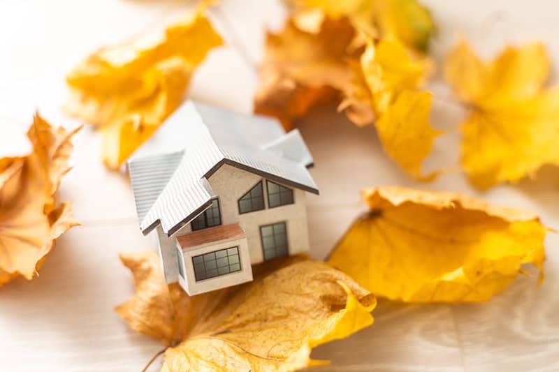 autumn leaves and house